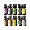 Set 10 uleiuri esentiale - Lavanda, Eucalipt, Menta, Tea Tree, Iasomie, Santal, Portocala, Lamaie, Lemongrass, Tamaie, M10/1 - 10 x 10 ml