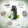 Ulei esential Arbore de Ceai (Tea Tree) 10 ml