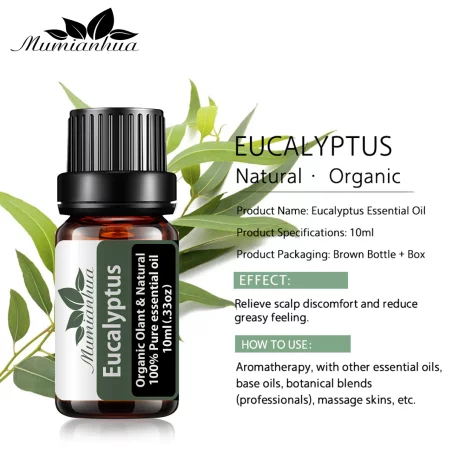 Ulei esential Eucalipt (Eucalyptus) 10 ml