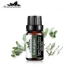 Ulei esential Eucalipt (Eucalyptus) 10 ml