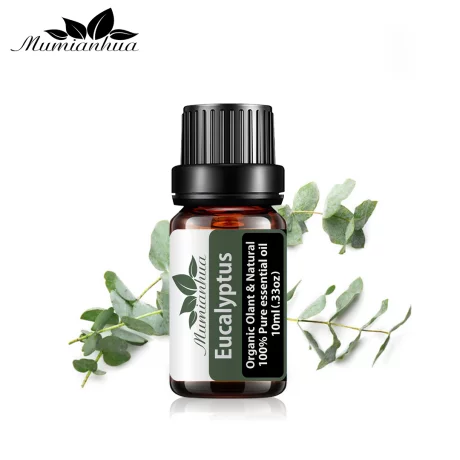 Ulei esential Eucalipt (Eucalyptus) 10 ml