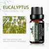 Ulei esential Eucalipt (Eucalyptus) 10 ml