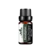 Ulei esential Eucalipt (Eucalyptus) 10 ml