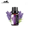 Ulei esential Lavanda (Lavander) 10 ml