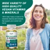 Capsule zilnice de Multivitamine si Minerale Catfit, 10 capsule, vitamine si minerale esentiale pentru a stimula energia imunitatea si sustinerea sanatatii, Antioxidant