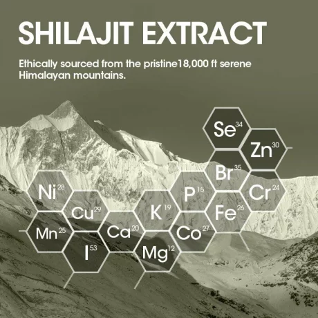 Shilajit Rasina Pura de Himalaya, energie si vitalitate, imunitate, stres, echilibru hormonal, sanatate mentala, minte si memorie, muschi, Beworths Immune Boost Organic, 60 capsule