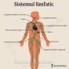 Aparat de presoterapie pentru drenaj limfatic si masaj pntru brat Alhena® M-PRO 3001, 1 X 4 camere de compresie aer, 6 moduri de tratament, 30-250 mmHg, recuperare medicala, masaj terapeutic, refacere musculara, marimea L, negru