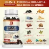 Organic Himalayan Shilajit, Sea Moss, Ulei de chimen negru, Ashwagandha, bomboane gumate, stimularea imunitatii, energie si vitalitate, stres, sanatate mentala, 60 buc