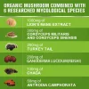 Capsule cu extract de ciuperci din Coama Leului, Coadă de curcan Complex Chaga, Îmbunătățiți memoria și imunitatea, Beworths, 1000mg
