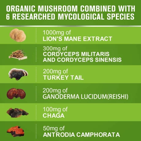 Capsule cu extract de ciuperci din Coama Leului, Coadă de curcan Complex Chaga, Îmbunătățiți memoria și imunitatea, Beworths, 1000mg