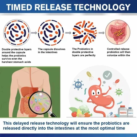 Probiotic 100 de miliarde de unitati formatoare de colonii, 34 de tulpini cu probiotice si enzime digestive pentru imunitate puternica, echilibrului florei intestinale, capsule moi
