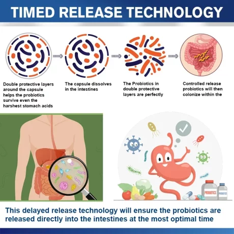 Probiotic 120 de miliarde de unitati formatoare de colonii, 36 de tulpini cu probiotice si enzime digestive pentru imunitate puternica, echilibrului florei intestinale, capsule moi