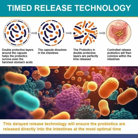 Probiotic 120 de miliarde de unitati formatoare de colonii, 36 de tulpini cu probiotice si enzime digestive pentru imunitate puternica, echilibrului florei intestinale, capsule moi