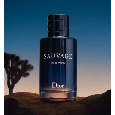 Dior Sauvage Parfum Spray 60ml Fresh