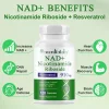 Nad Plus 1000MG, supliment de nicotinamidă, ribozidă și resveratrol, nicotinamidă, 120 Capsule cu extract de plante