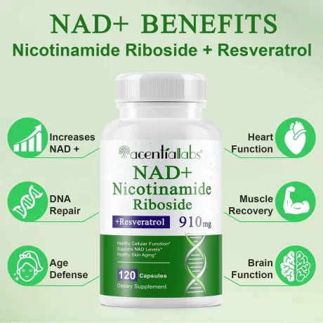 Nad Plus 1000MG, supliment de nicotinamidă, ribozidă și resveratrol, nicotinamidă, 120 Capsule cu extract de plante