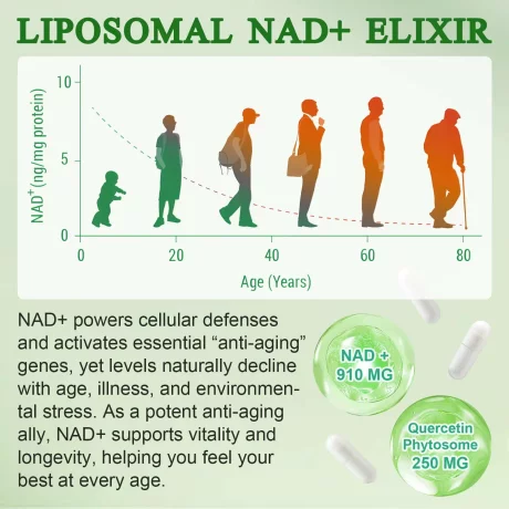 Nad Plus 1000MG, supliment de nicotinamidă, ribozidă și resveratrol, nicotinamidă, 120 Capsule cu extract de plante