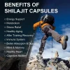 Extract de Shilajit și Extract de Ginseng,  extract de ginseng pentru stimularea imunității, energie si vitalitate, stres, echilibru hormonal, sanatate mentala,  memorie, muschi