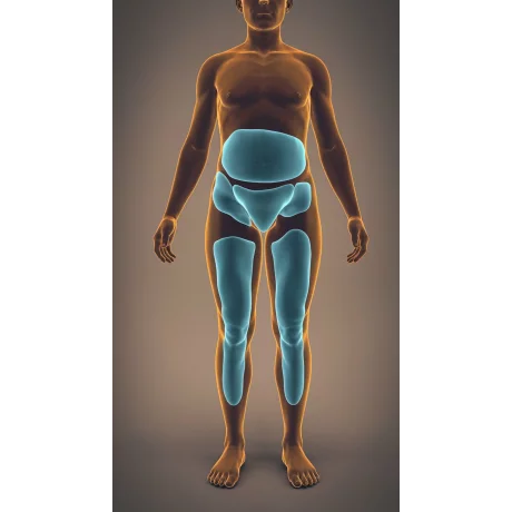 Aparat de presoterapie pentru drenaj limfatic si masaj pntru brat Alhena® M-PRO 3001, 4 X 6 camere de compresie aer, 6 moduri de tratament, marime XL