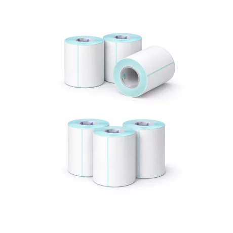 Set 10 Etichete Autoadezive Termice Alhena® 100 x 150 mm, Perfor de Rupere, 250Etichete / Rola, pentru AWB, calitate superioara