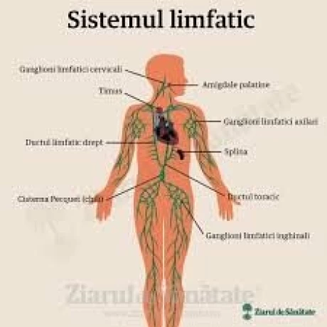 Aparat de presoterapie pentru drenaj limfatic, pantalon talie inalta plus mana, Alhena®M-PRO 3001, 3X6 camere de compresie aer, 6 moduri de tratament, 30-250 mmHg, recuperare medicala, anticelulitic, limfedem, marimea XL, 142/83 negru