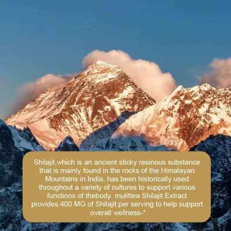 Shilajit Rasina Pura Himalaya