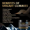Shilajit Rasina Pura Himalaya